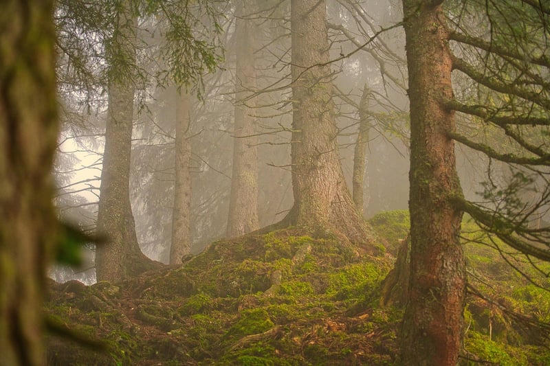 Quiet Myths Image